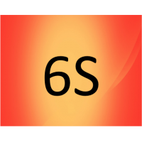 6S